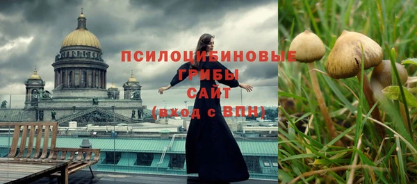 СК Слюдянка